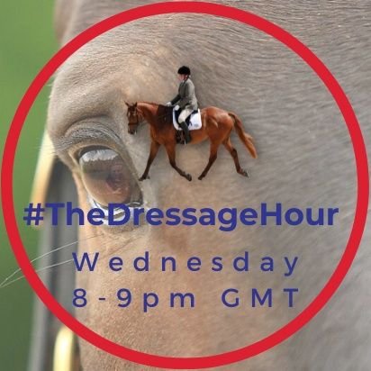 TheDressageHour Profile Picture