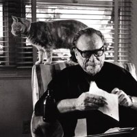 Eduardocbuko (@bukocbuko) 's Twitter Profile