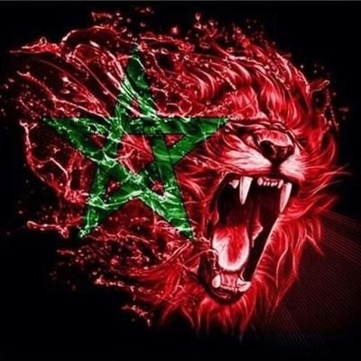 lsrqwy39438989's profile picture. أعشق ركوب الخيل(التبوريدة) 🐎

المغرب أنت عنوان الأمن، ورمز الحب، ورسالة السِلم🇲🇦💓🇲🇦