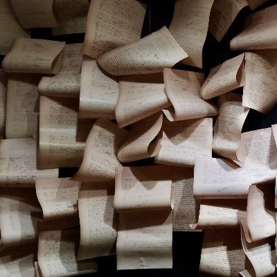 AnaMFGoncalves's profile picture. 📄🎧🎙️