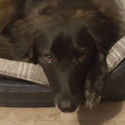 Jimmy_mchl's profile picture. 