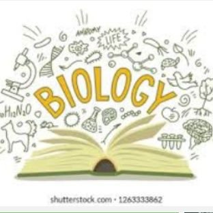 I am an Expert in Biology and anatomy.Quality grades and timely delivery is my https://t.co/Cy0rHNTfQA m.anniet33@gmail.com