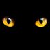 Totte Grim (@tottegrym) Twitter profile photo Totte Grim (@tottegrym) Twitter profile photo