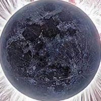 . (@ben_stevens) 's Twitter Profile