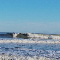 Mackenzie Malpass (@mackmalpass) 's Twitter Profile