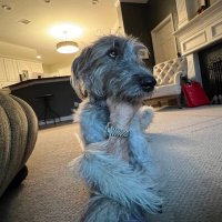 Larry Mouscawitz (@mouscawitzlarry) 's Twitter Profile
