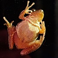Izaak (@thefinaldemand) 's Twitter Profile