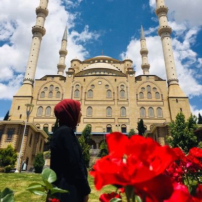 _____sw_______'s profile picture. 📷