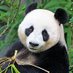 Brian (@kate94355076) Twitter profile photo Brian (@kate94355076) Twitter profile photo