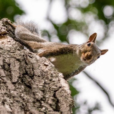 alexjurkuta's profile picture. 