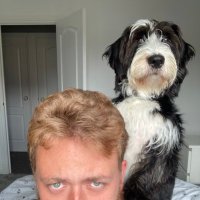 Thomo (@liamgthompson1) 's Twitter Profile