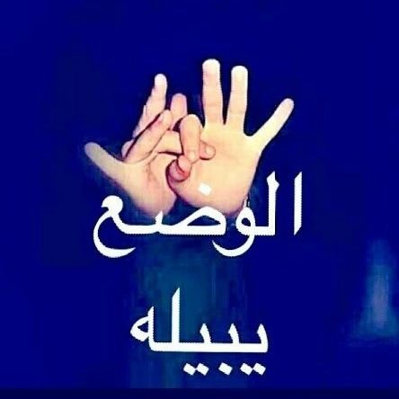 ibn_Hodaida's profile picture. الحديدة - اليمن