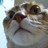 8_11_8's profile image
