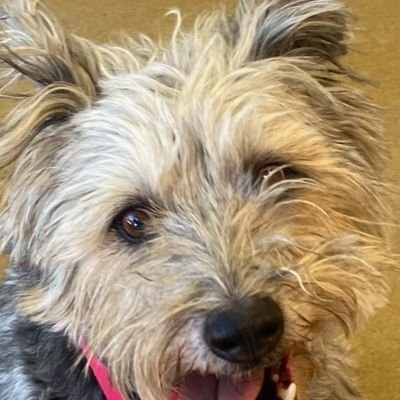 AMoB77294086's profile picture. 