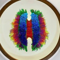 Neurosciences, RIE (@dcnneuro) 's Twitter Profile