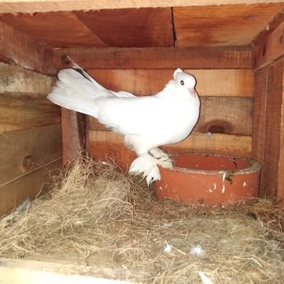 UaXhf7's profile picture. 