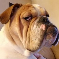 Tim Martin (@tmartin714) 's Twitter Profile