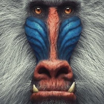 TraderJoeSolo's profile picture. Just here minding my own 😏