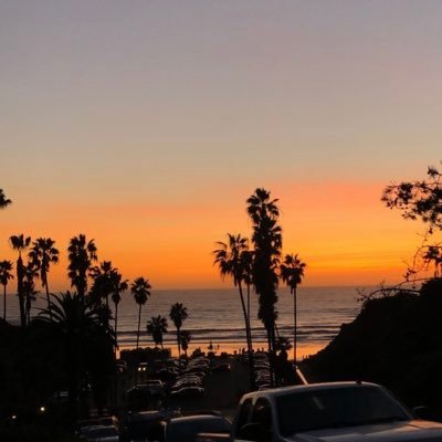 ansaammmmm's profile picture. .