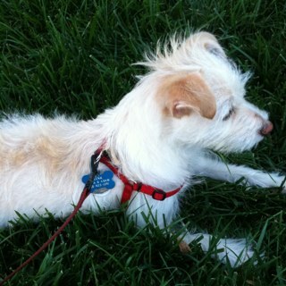 taratreacylevy's profile picture. Casting Director