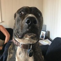 Geoff Grant (@geoffgr74476462) 's Twitter Profile