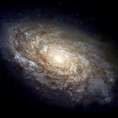 leap82_'s profile picture. 