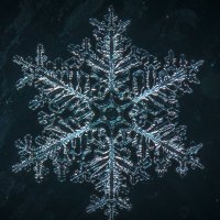 Cryomastix (@cryomastix) 's Twitter Profile Photo Cryomastix (@cryomastix) 's Twitter Profile Photo