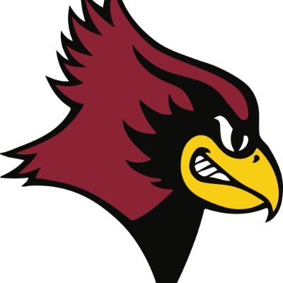 De Pere Redbird Baseball ⚾️ Profile