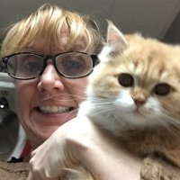 Laura Amatulli (@amatullilaura) 's Twitter Profile