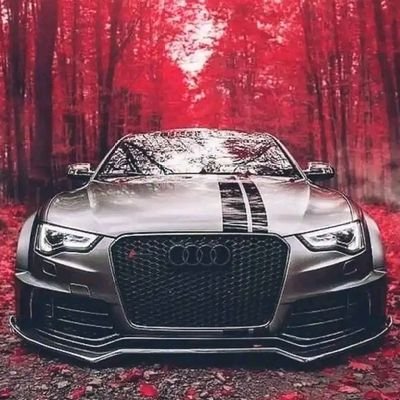 CollinceAlfred's profile picture. 