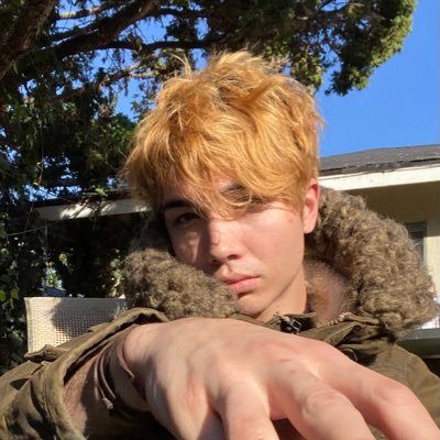 harlxn_'s profile picture. hi I’m howl#0000 but you can call me when I’m needed.