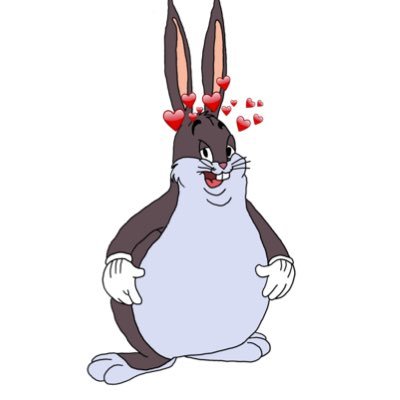 The big chungus rules!