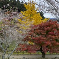 Take Mura (@takemur41759477) 's Twitter Profile Photo