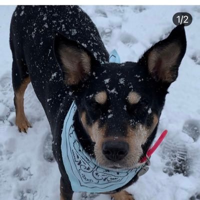 shawnleigh64's profile picture. 