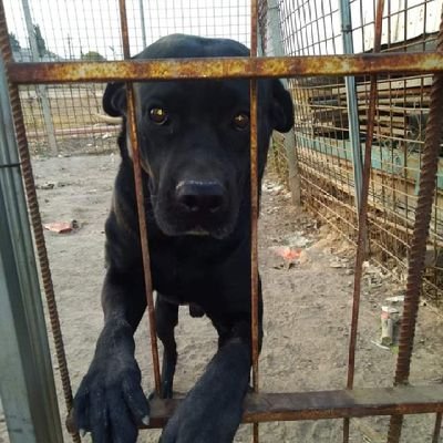 Ryanccard232's profile picture. IFA