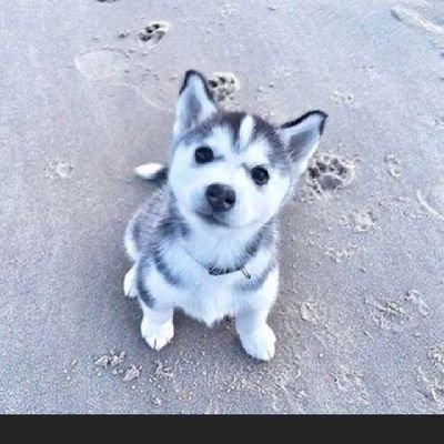 ArgentinaBound's profile picture. Better Days