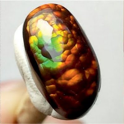 The best shop of fire agates and Mexican opals