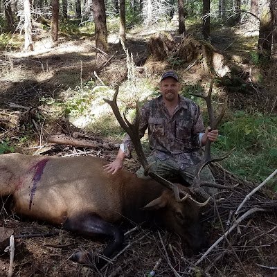 Green7033Green's profile picture. 