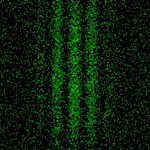 bra-ket (@diracnotation) 's Twitter Profile