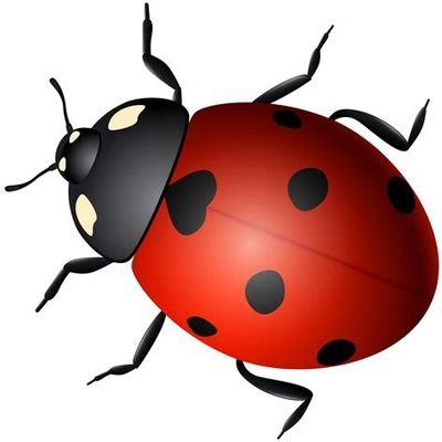 L4Ladybug Profile Picture