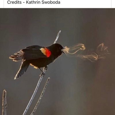 ecojoy5's profile picture. 