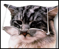 moshev_'s profile picture. 