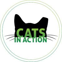 Cats in Action (@catsinaction2) 's Twitter Profile