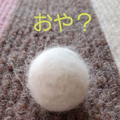 人生はニャンとかなる❤
2022年10月15日にマンチカンの保護猫小夏が仲間入り✨
ダイヤ、エルビ、チワワ涼乃介、しっかりお兄ちゃんやってます。
2021年11月25日乳がん告知、2022年1月28日左側乳房全摘手術、転移あり。オンコタイプDX再発リスク14%。
ホルモン剤治療に入ります!