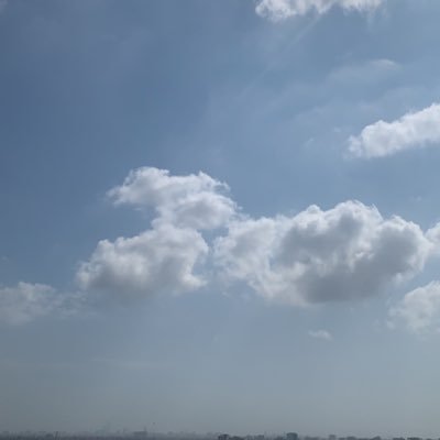 amna_moq's profile picture. 