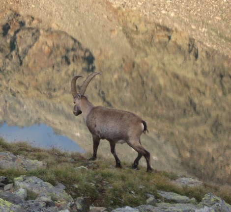 En alpinisme, randonnée, trail... se faire plaisir, c'est le mot d'ordre de ma pratique des sports nature. Le plus bel itinéraire mène au coeur de soi.