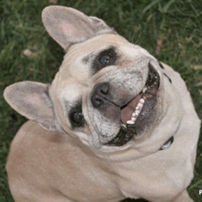 DDDDuvall's profile picture. 