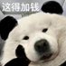 Reyno (@bgbpfehrg8eovez) Twitter profile photo