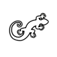 DesertLizard (@desertlizard2) 's Twitter Profile
