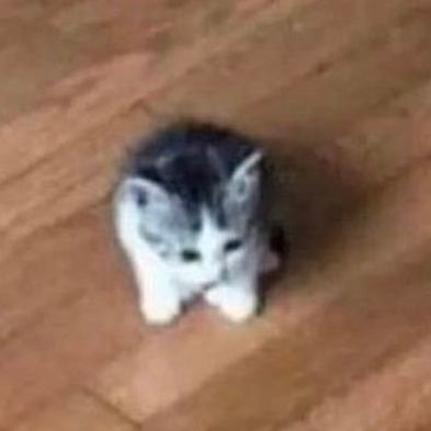 wakinatulog's profile picture. 